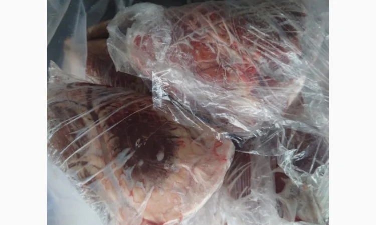 Серце яловиче заморожене ціле - фото № 3