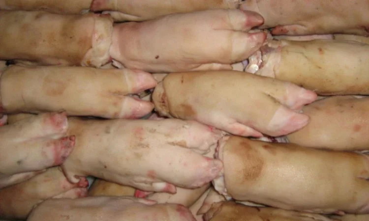 Ножки свинячі заморож - фото № 1