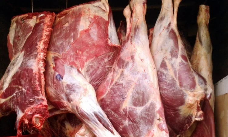 Комбинат Закупает Мясо КРС - фото № 1