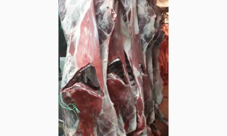 ПрАТ АГРО-ПРОДУКТ продает охлажденное мясо на кости и кусочное мясо быка и коровы - фото № 1