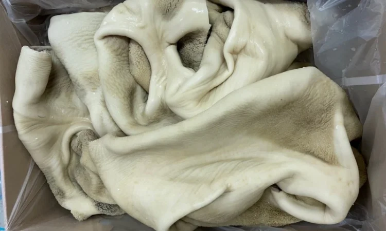 ПрАТ АГРО-ПРОДУКТ продає вуха, морди, рубець шпарений - фото № 5