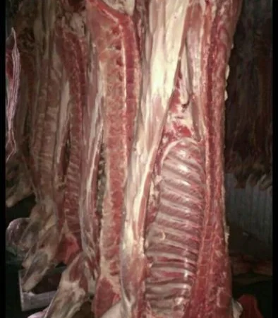 Мясо полотуши ВРХ, свинина - фото № 1