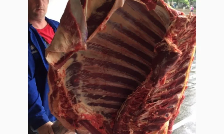 Мясо полотуши ВРХ, свинина - фото № 4