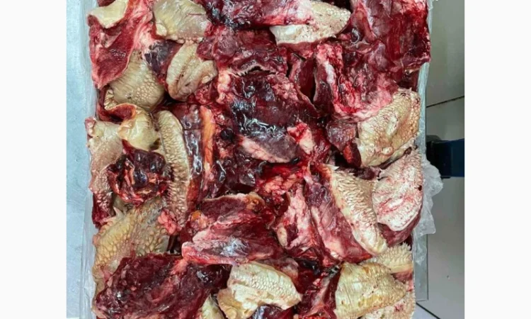 Продам ежики говяжьи - фото № 1