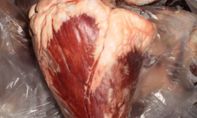 Предприятие реализует субпродукты - фото № 2