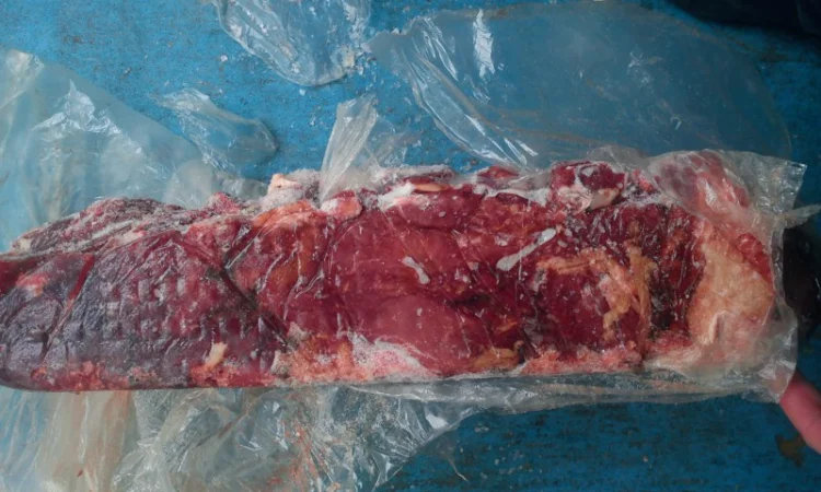Продам блочную говядину(высшего - фото № 1
