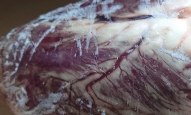 Продам серце яловиче - фото № 1