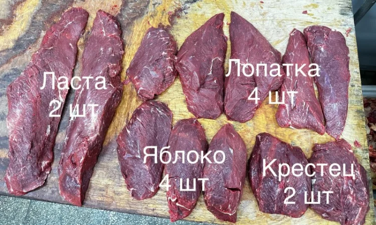 Продается мясо говядины высшего сорта - фото № 2