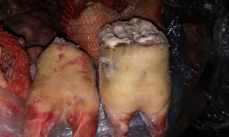 Путовый сустав шпареный замороженный - фото № 1