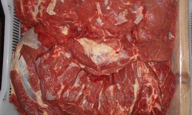 Говядина на экспорт - фото № 1