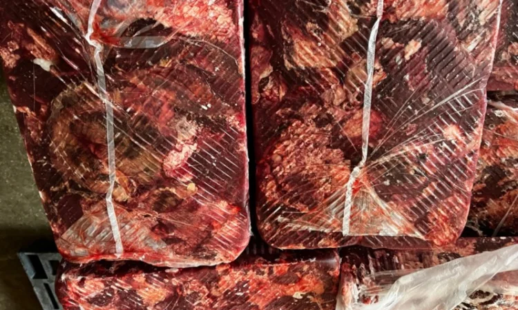 Продам головізну ВРХ, м’ясообрізь ВРХ, жиловану та не жиловану яловичину - фото № 10