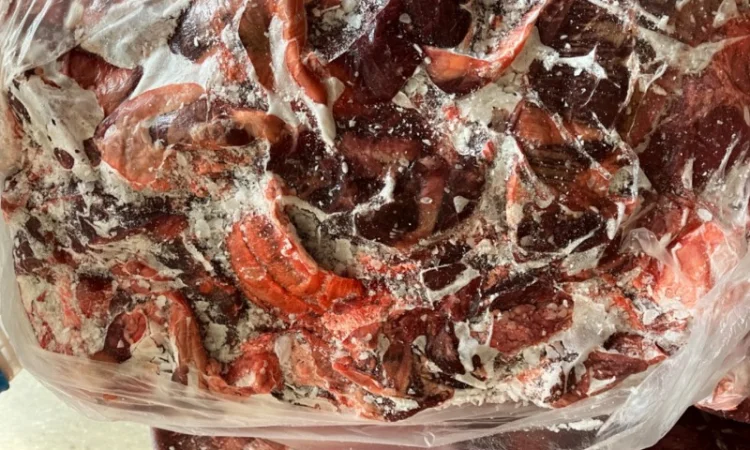 Продам головізну ВРХ, м’ясообрізь ВРХ, жиловану та не жиловану яловичину - фото № 11