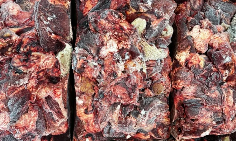 Продам головізну ВРХ, м’ясообрізь ВРХ, жиловану та не жиловану яловичину - фото № 5