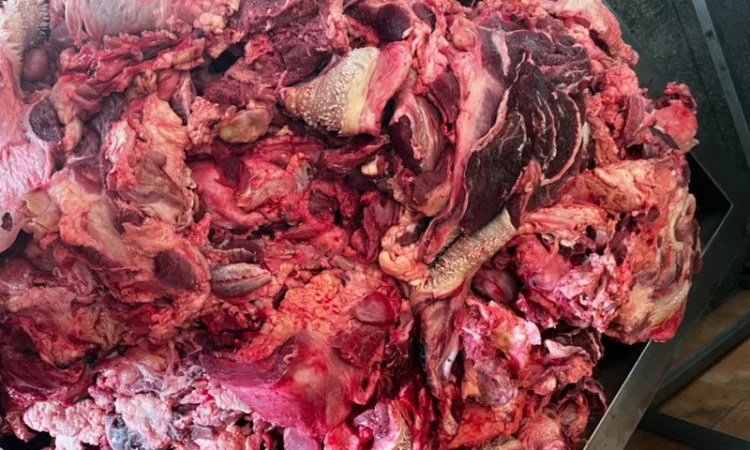 Продам головізну ВРХ, м’ясообрізь ВРХ, жиловану та не жиловану яловичину - фото № 7