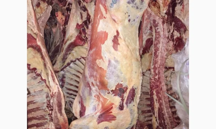 Мясо говядина оптом - фото № 1