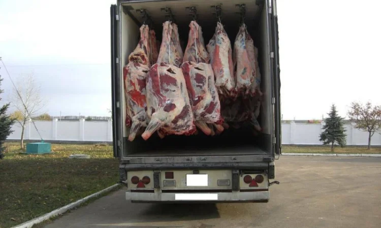 Мясо говядина оптом - фото № 5