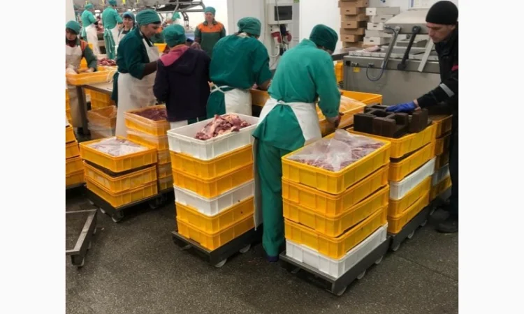 Мясо говядина оптом - фото № 6