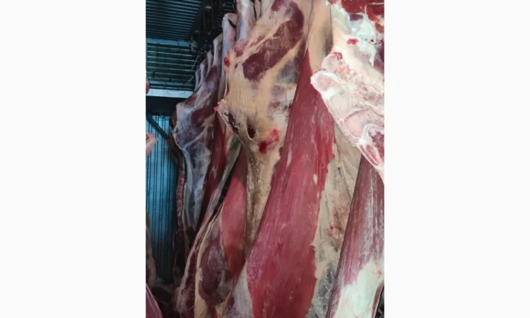 Продам говядину охлаждённую в полутушах, Халяльный убой - фото № 1