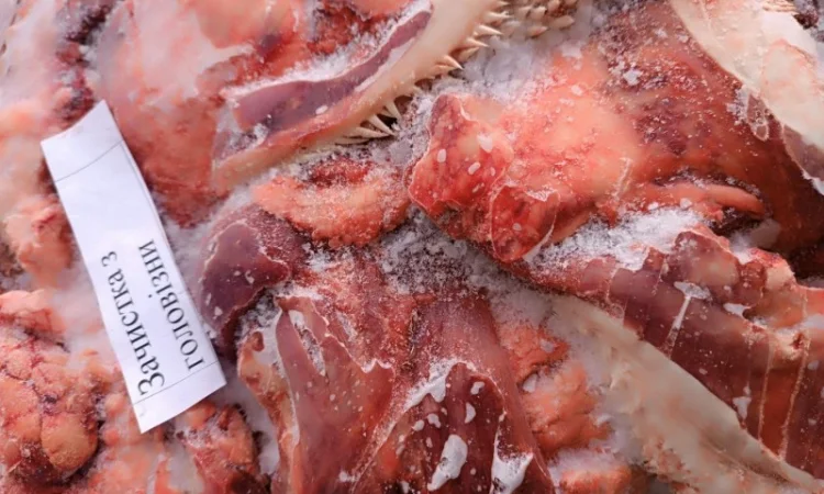 Продам говяжі субпродукти (рубец, вимя, вуха, губи, трахея і.) - фото № 5