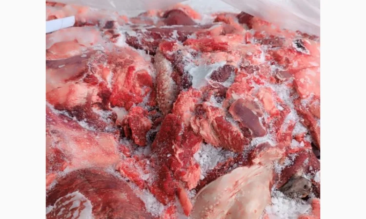 Продам говяжі субпродукти (рубец, вимя, вуха, губи, трахея і.) - фото № 6