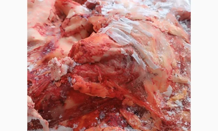 Продам говяжі субпродукти (рубец, вимя, вуха, губи, трахея і.) - фото № 7