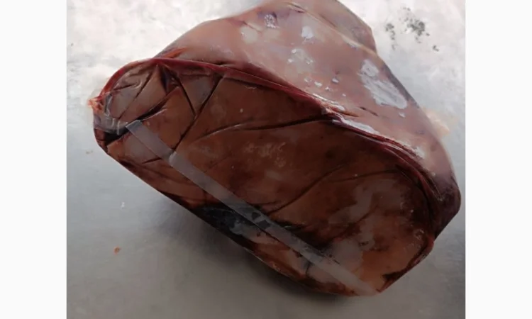 Продам печінку яловичу Україна - фото № 4