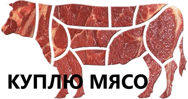 Куплю яловичину (1 сорт - фото № 1