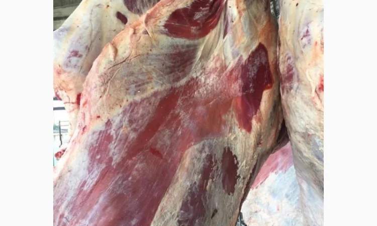 Куплю яловичі півтуші та четверті - фото № 1