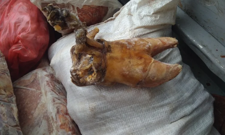 Путовый сустав говяжий - фото № 1