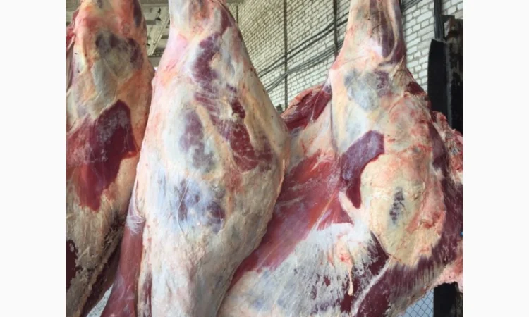 Продам мясо яловиче - фото № 3