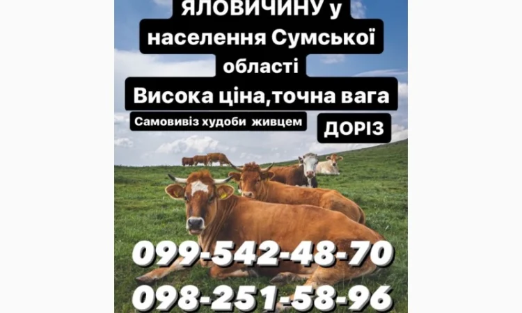 Заготівля врх - фото № 1