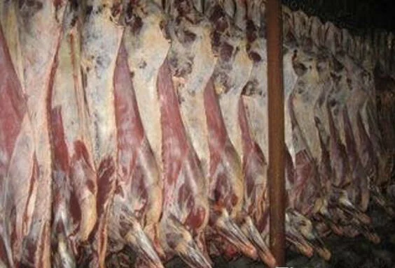 Мясо Полутуши - фото № 1