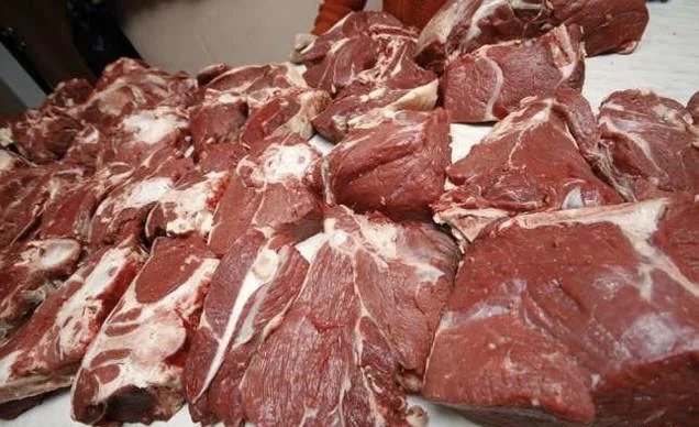 Мясо конины для собак - фото № 3