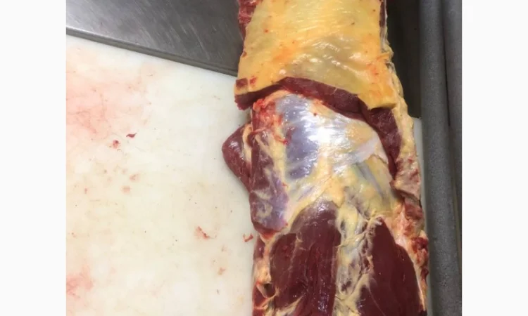 Конина, м'ясо конини, туші конини - фото № 3