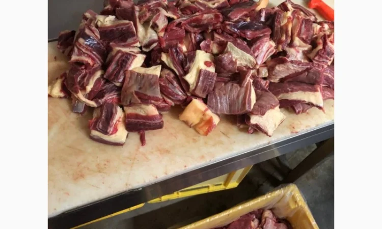 Конина, м'ясо конини, туші конини - фото № 4