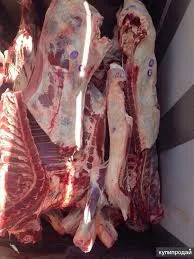 Продам полутуши конины - фото № 1