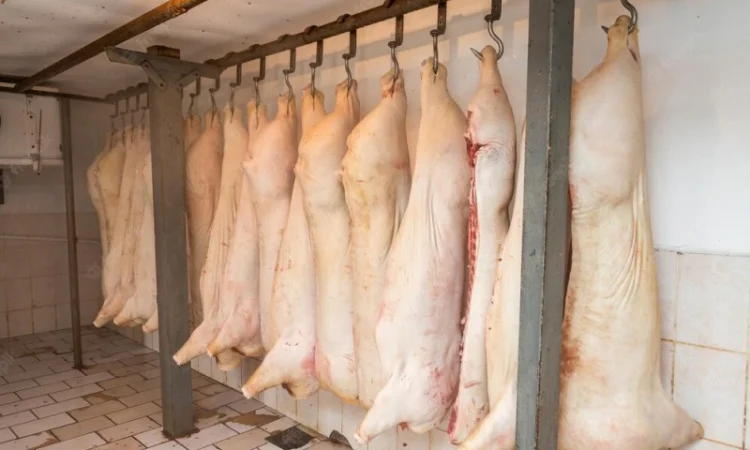 Свинина охолоджена (напівтуші) - фото № 1