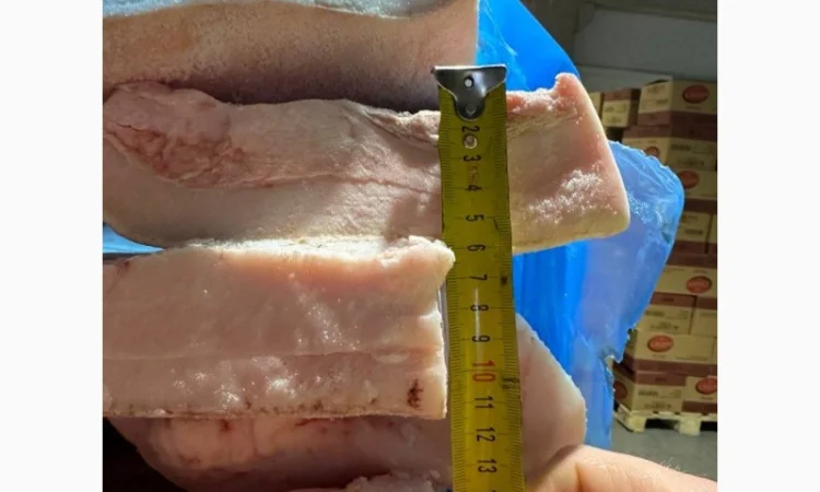 Продается свиное сало Иберика из Испании от поставщика 20 тонн - фото № 2