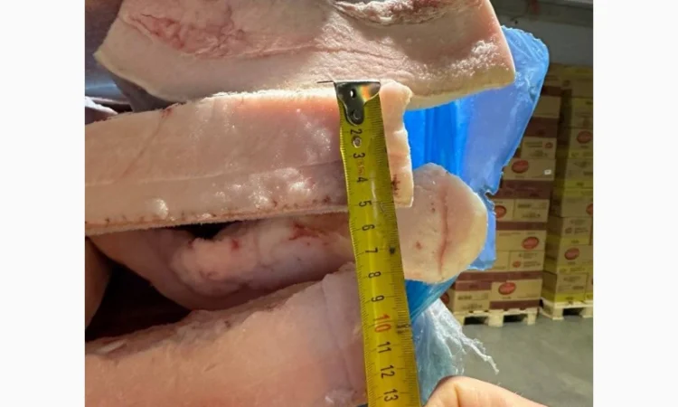 Продается свиное сало Иберика из Испании от поставщика 20 тонн - фото № 5