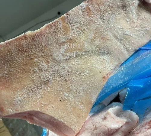 Продается свиное сало Иберика из Испании от поставщика 20 тонн - фото № 10