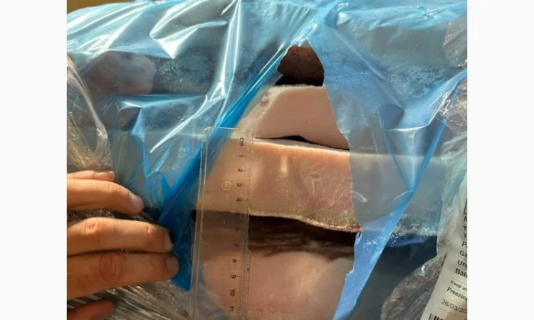 Продается свиное сало Иберика из Испании от поставщика 20 тонн - фото № 11