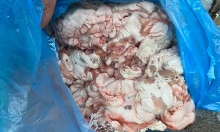 Продам свиной кишечный и внутренний жир - фото № 1