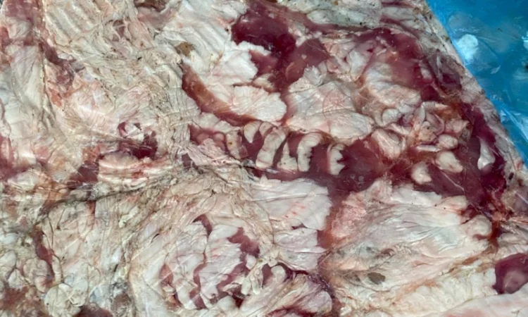 Продам свиной кишечный и внутренний жир - фото № 3