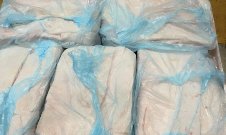 Продам сало хребтове - фото № 3