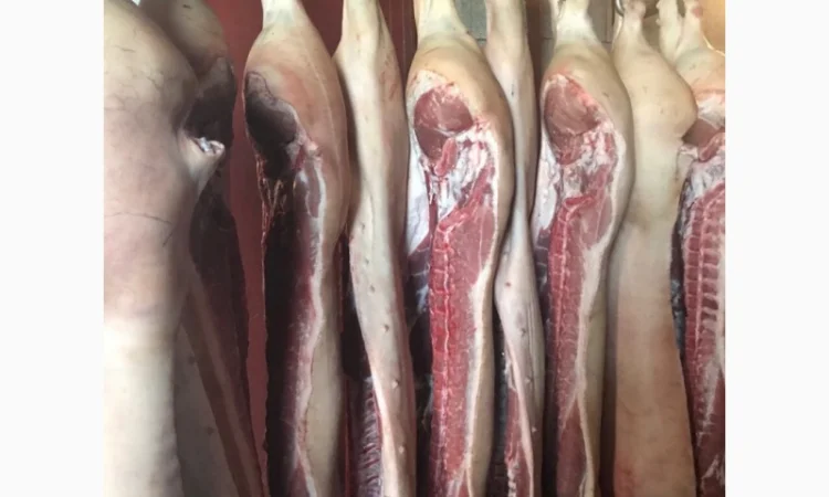 Полутуши свинные бекон (S і Е клас) - фото № 1