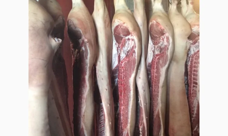 Продам півтушу свинну - фото № 1