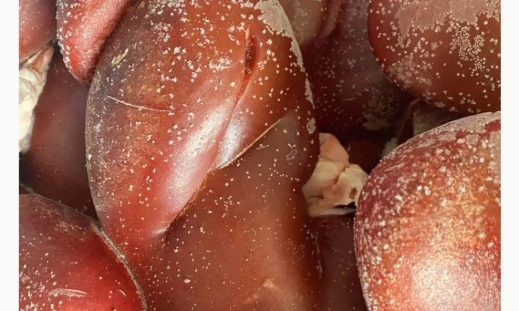 Продам свинні нирки – за запитом - фото № 1