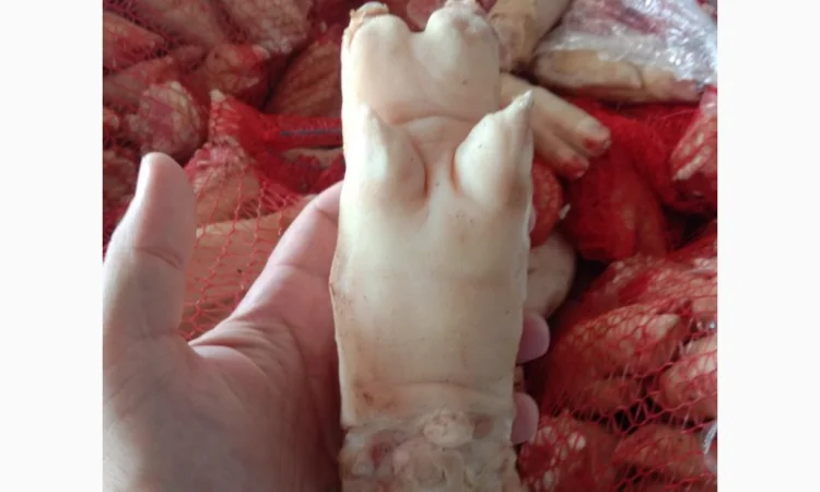 Продам свинні ніжки – за запитом - фото № 1