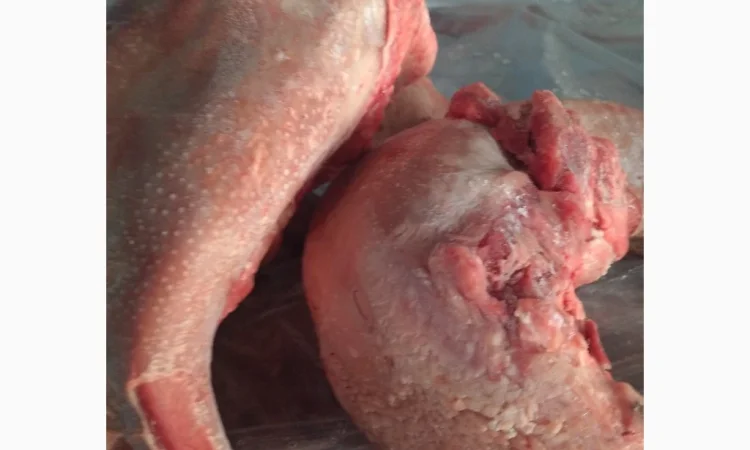 Пропонується свинний язик, заморожений, 7 кг - фото № 1