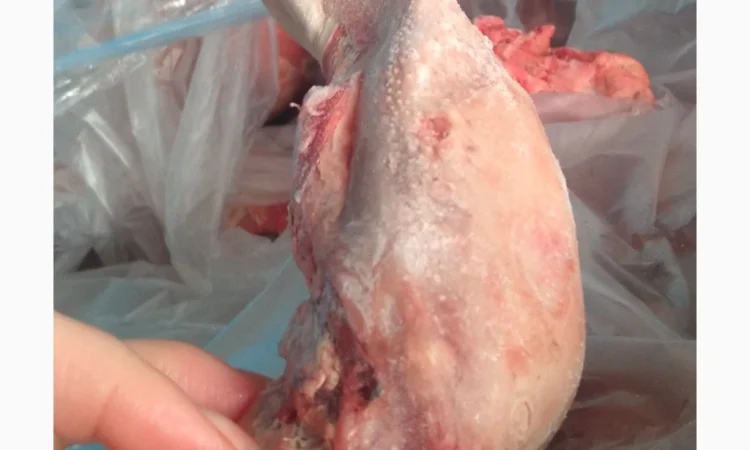 Пропонується свинний язик, заморожений, 7 кг - фото № 2